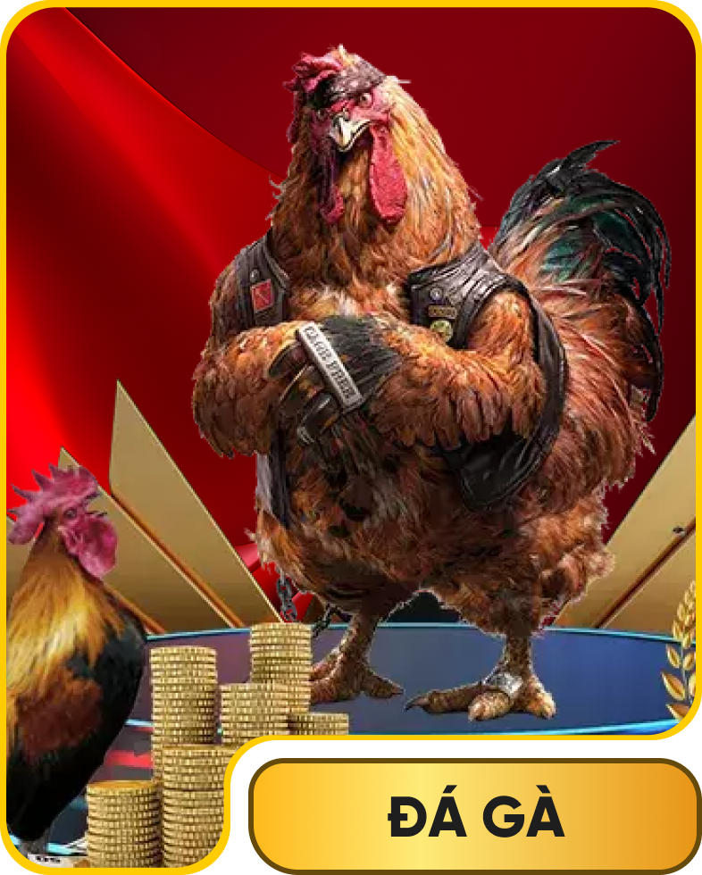 Đá gà 33win